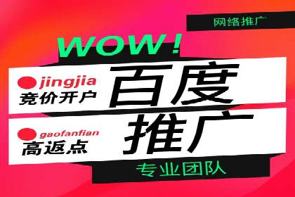 竞价推广实战经验：成功案例分享会
